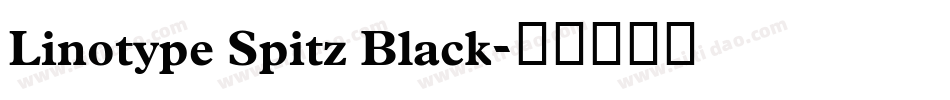 Linotype Spitz Black字体转换